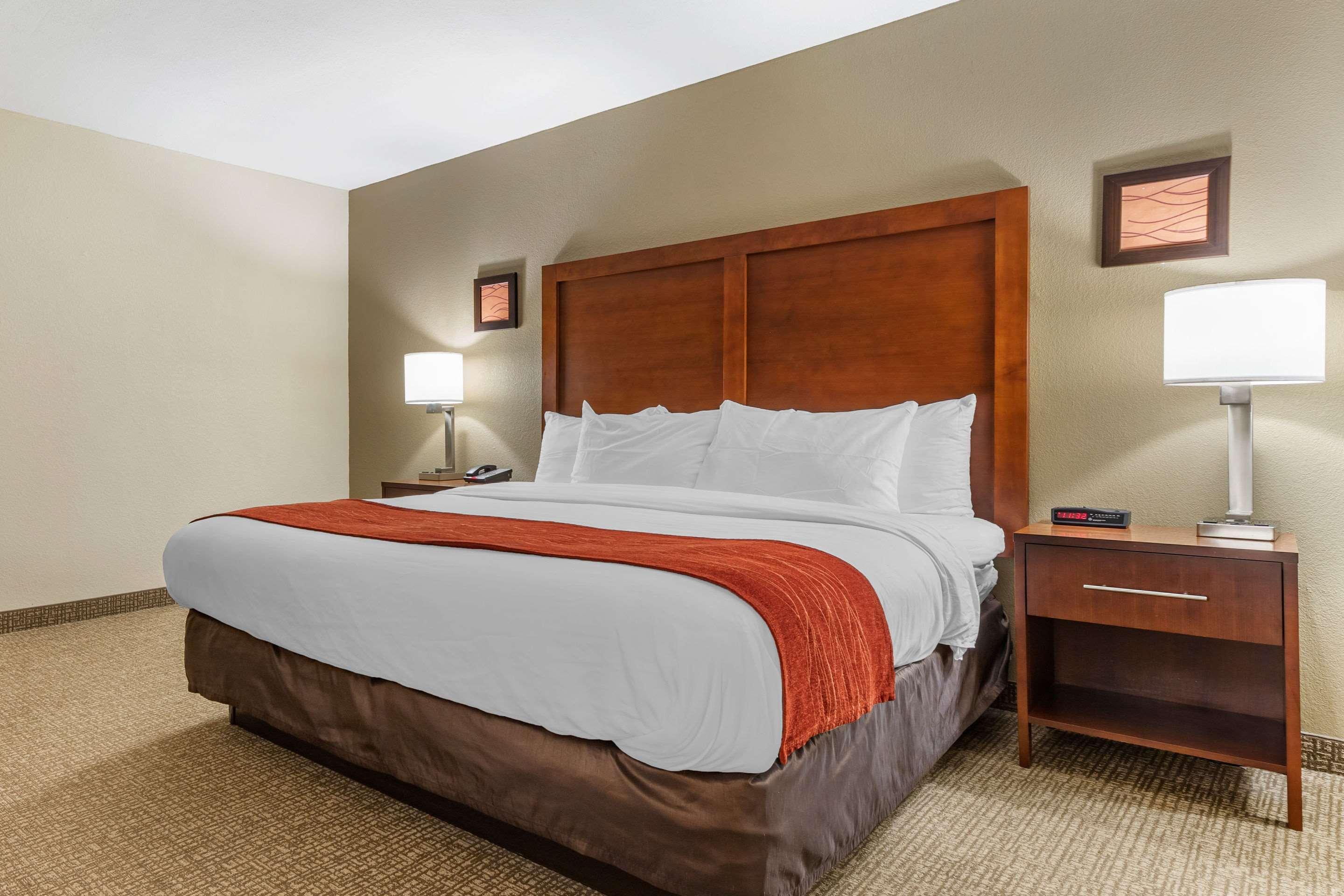 Comfort Inn & Suites Clemson - University Area Extérieur photo