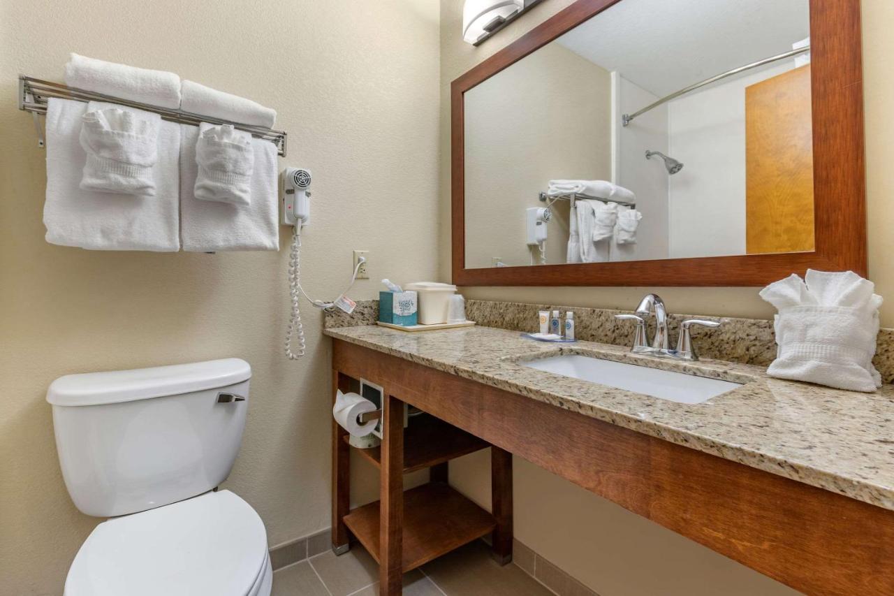 Comfort Inn & Suites Clemson - University Area Extérieur photo