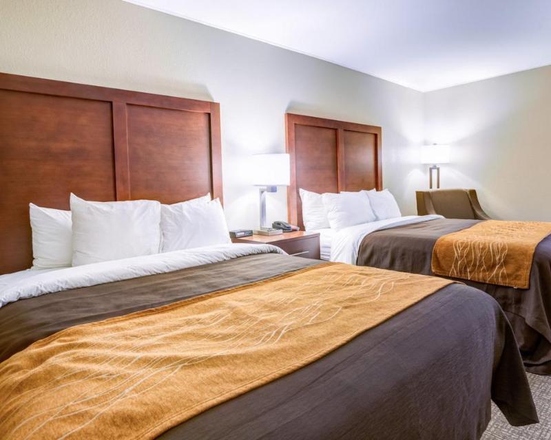 Comfort Inn & Suites Clemson - University Area Extérieur photo