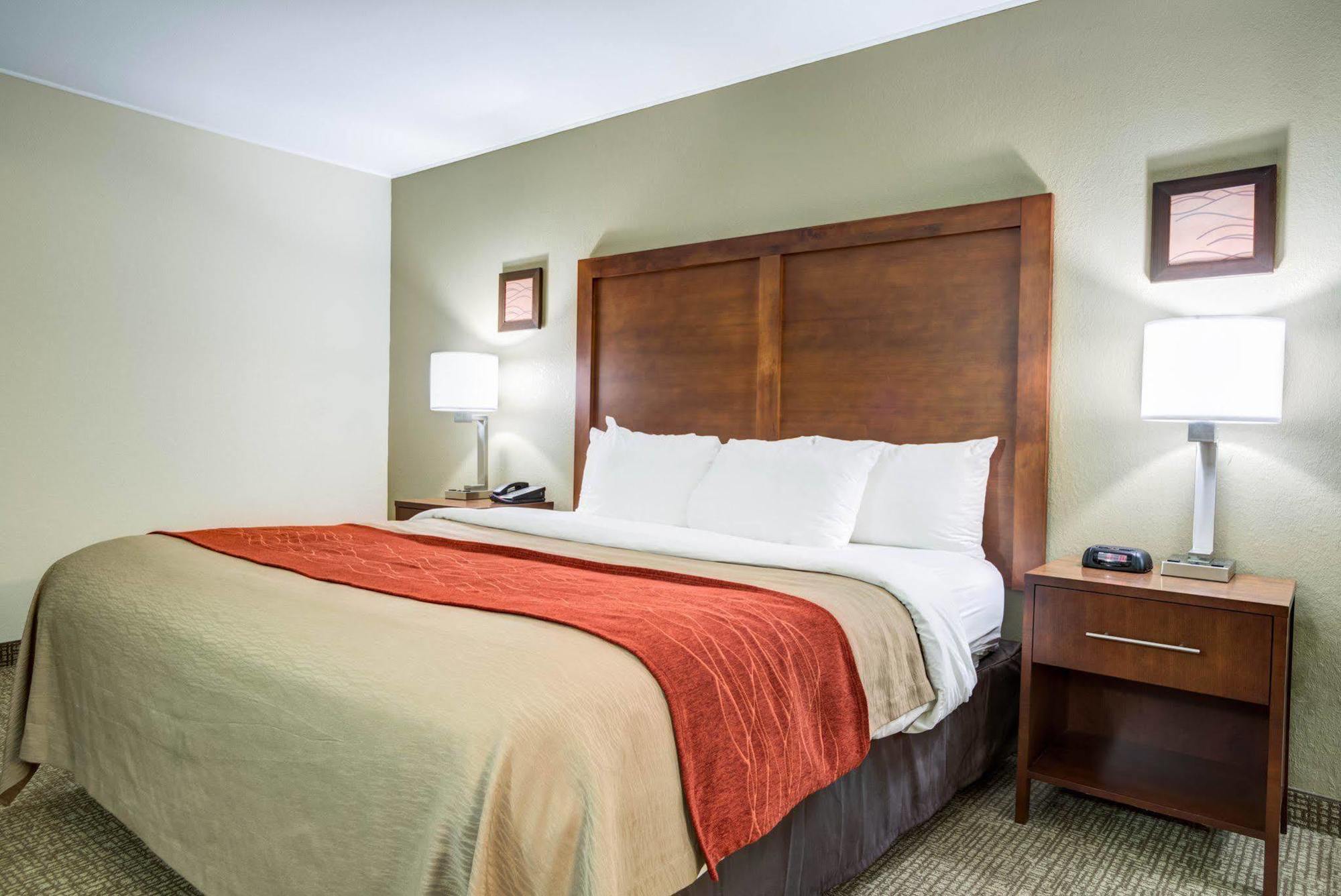 Comfort Inn & Suites Clemson - University Area Extérieur photo