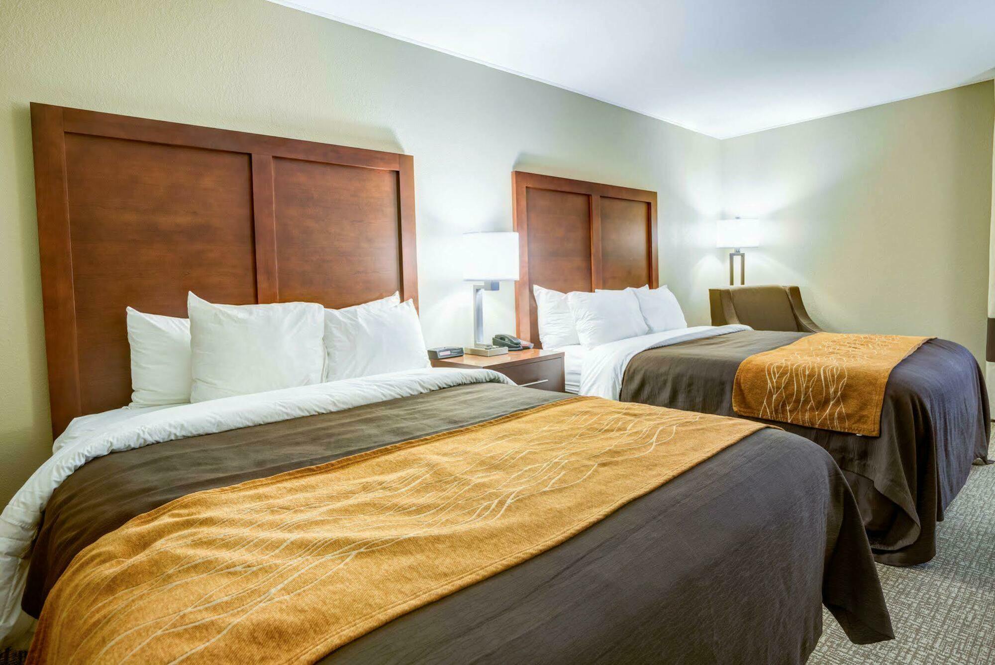 Comfort Inn & Suites Clemson - University Area Extérieur photo