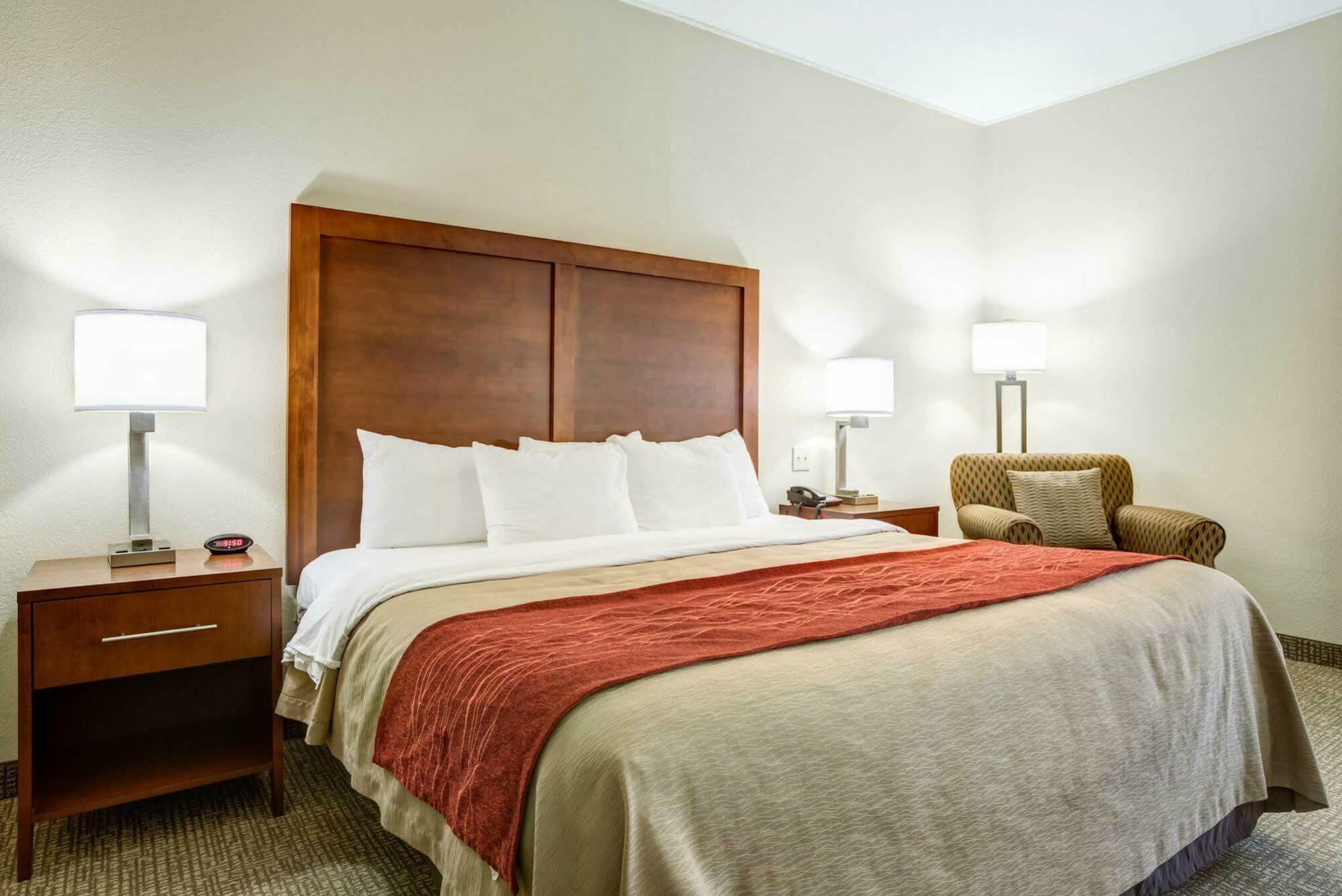 Comfort Inn & Suites Clemson - University Area Extérieur photo