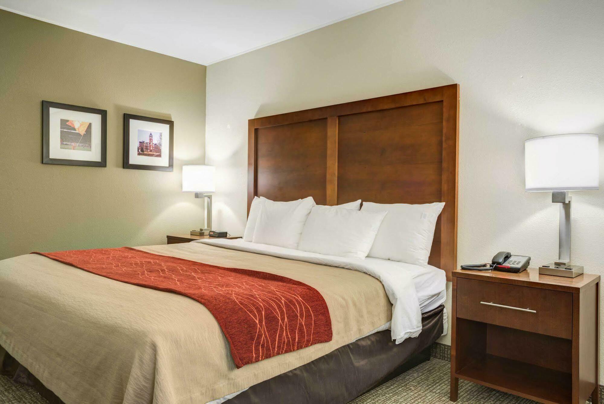 Comfort Inn & Suites Clemson - University Area Extérieur photo